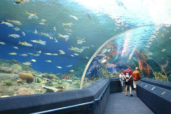 Underwater World at Pattaya Admission Ticket With Return Transfer - Duration and Ticket Inclusion