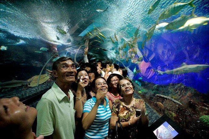 Underwater World at Pattaya Admission Ticket With Return Transfer - Witnessing Various Marine Animal Species