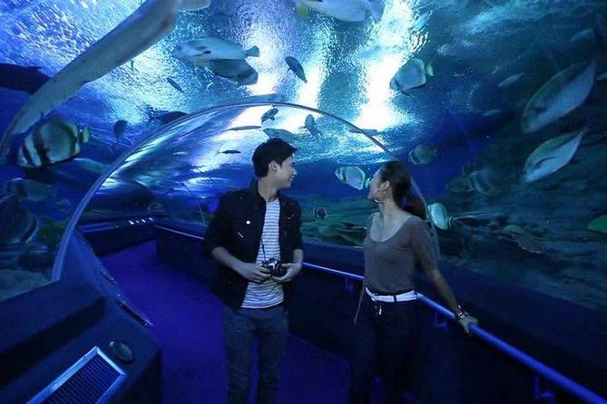 Underwater World at Pattaya Admission Ticket With Return Transfer - Common Questions