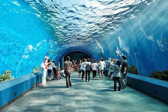 Underwater World at Pattaya Admission Ticket With Return Transfer - What To Expect
