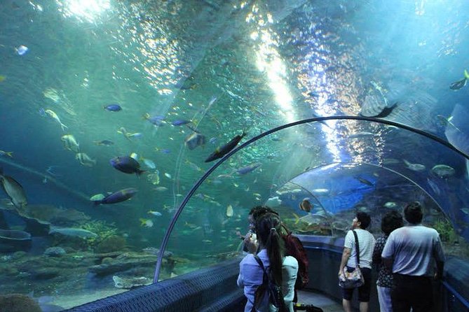 Underwater World at Pattaya Admission Ticket With Return Transfer - The Sum Up