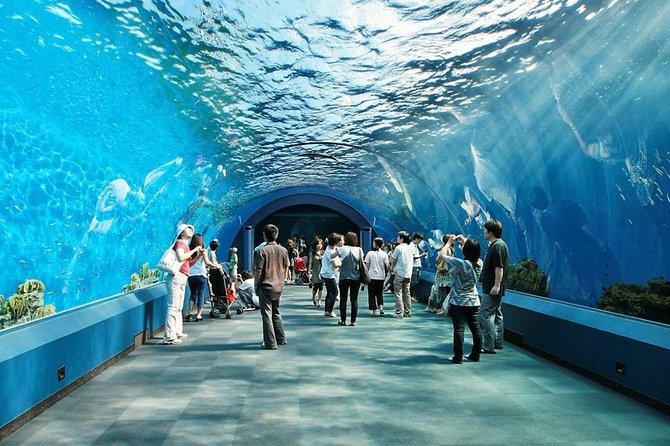 Underwater World in Pattaya Admission Ticket - Underwater Tunnel
