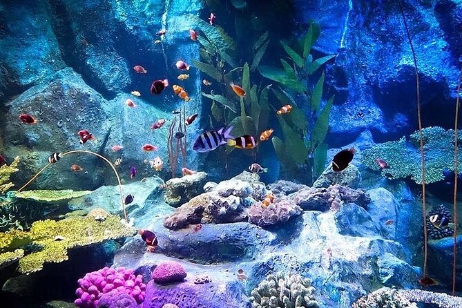 Underwater World in Pattaya Admission Ticket - Customer Support and Contact Information