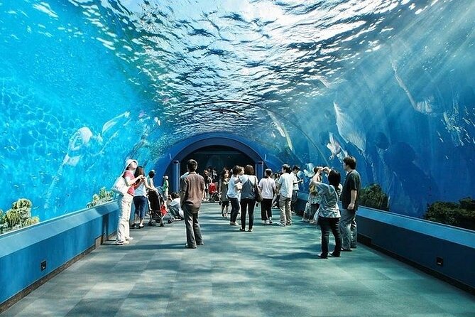 Underwater World in Pattaya Admission Ticket - Common Questions