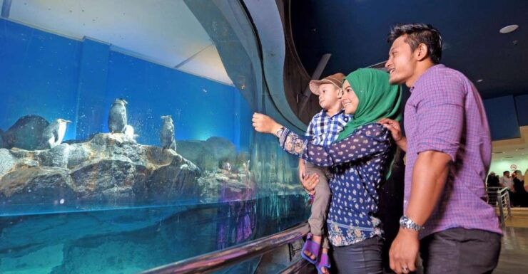 Underwater World Langkawi Admission Ticket - Ticket Details