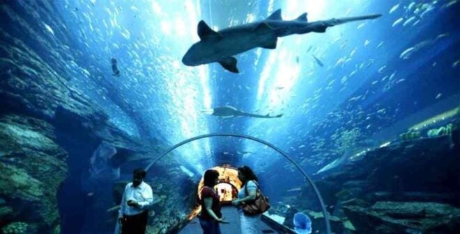 Underwater World Langkawi - Description of Underwater World Langkawi