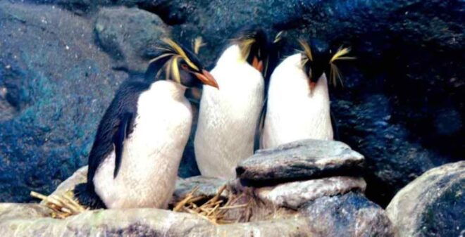 Underwater World Langkawi - Reviews and Additional Information