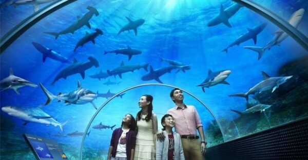 Underwater World Langkawi - The Sum Up