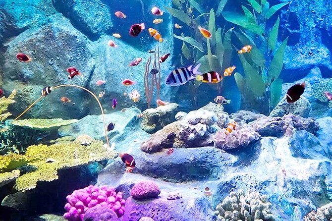 Underwater World Pattaya - Meeting and Pickup