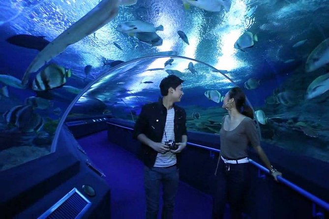 Underwater World Pattaya - Common Questions