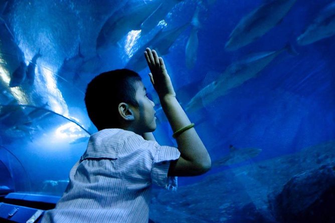 Underwater World Pattaya (Ticket Only) - Highlights and Attractions