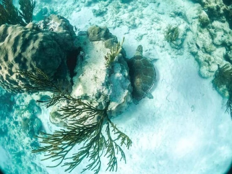 Underwater World - Good To Know
