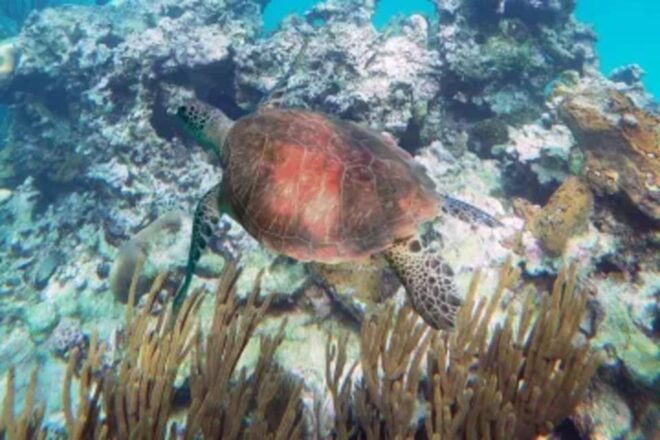 Underwater World - Reservation and Payment