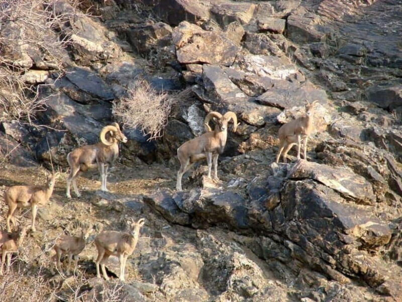 Undiscovered Uzbekistan - Hayat Village Tour from Samarkand - An Authentic Peek into Rural Uzbekistan