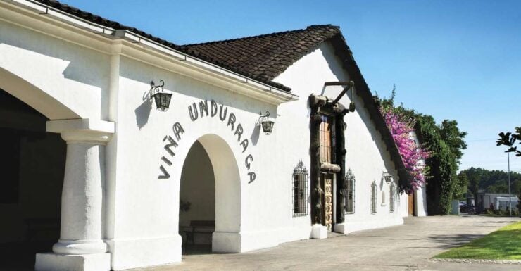 Undurraga: Official Winery Tour - Tour Experience
