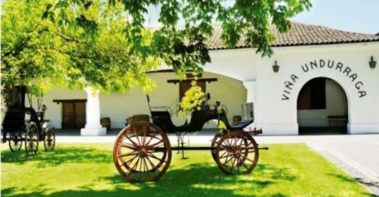 Undurraga Wine Tour - Highlights