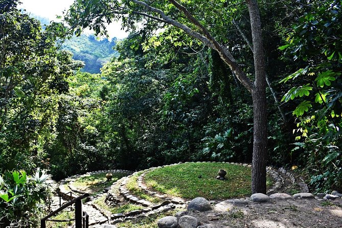 Unearth Indigenous Wisdom and Hike Through Lush Rainforest - Indigenous Cultural Encounter With Ana