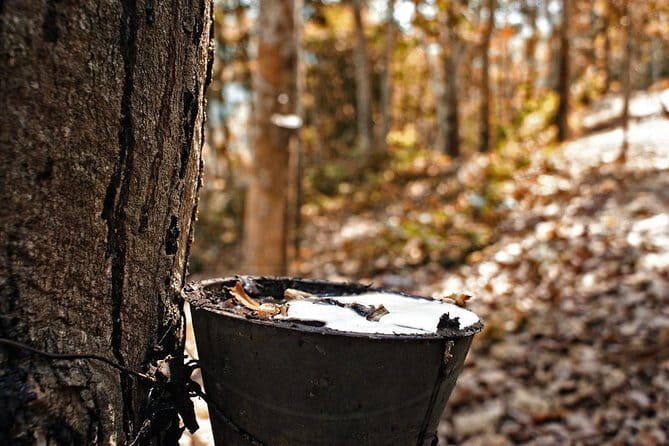 UNESCO Archaeological Heritage Of The Lenggong Valley from Ipoh - Who Would Love This Tour?