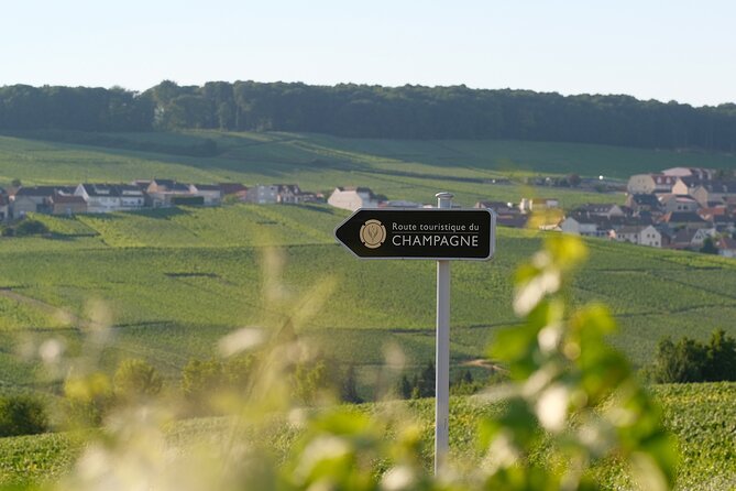 Unesco Champagne Experience From Epernay (Private Tour) - Exploring Avenue De Champagne in Epernay