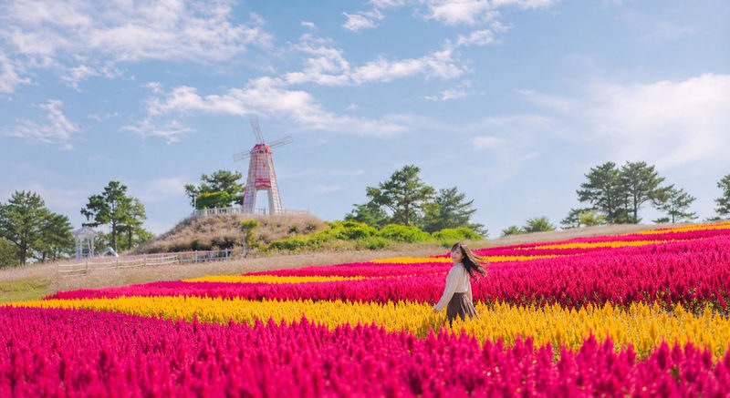 UNESCO Hantan Canyon & DMZ & Seasonal Hot Attractions Day Tour - What makes this Cheorwon day trip different