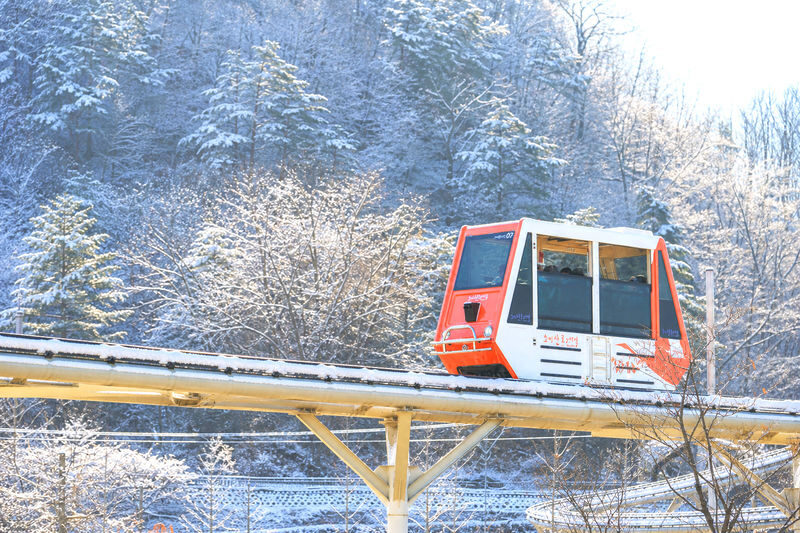 UNESCO Hantan Canyon & DMZ & Seasonal Hot Attractions Day Tour - The Workers’ Party building and Cheorwon’s divided past
