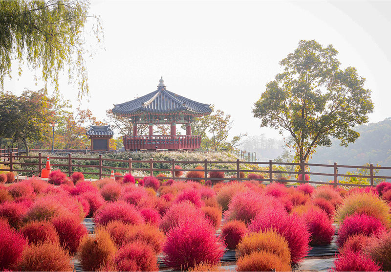 UNESCO Hantan Canyon & DMZ & Seasonal Hot Attractions Day Tour - Should you book the Cheorwon tour?