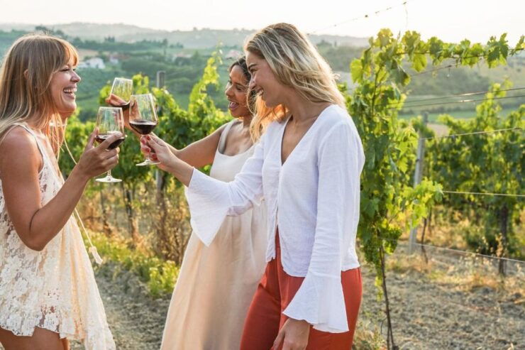 UNESCO Heritage and Wine Delights Private Tour From Bordeaux - Good To Know