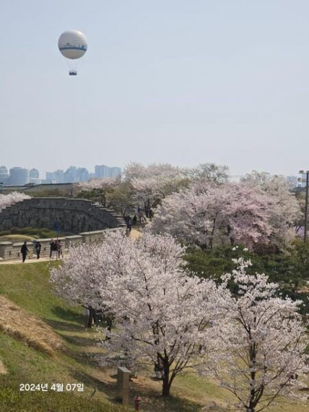 Unesco Heritage, Suwon Hwaseong Fortress, and Folk Village - Tour Options and Pricing