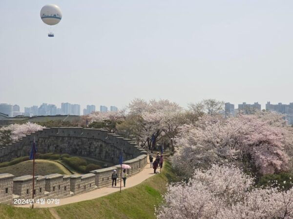 Unesco Heritage, Suwon Hwaseong Fortress, and Folk Village - Questions You May Have