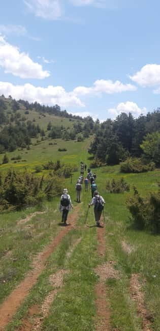 UNESCO Heritage Tour: Ancient Lin & Royal Tombs of Selca - The Highlights of the Experience  