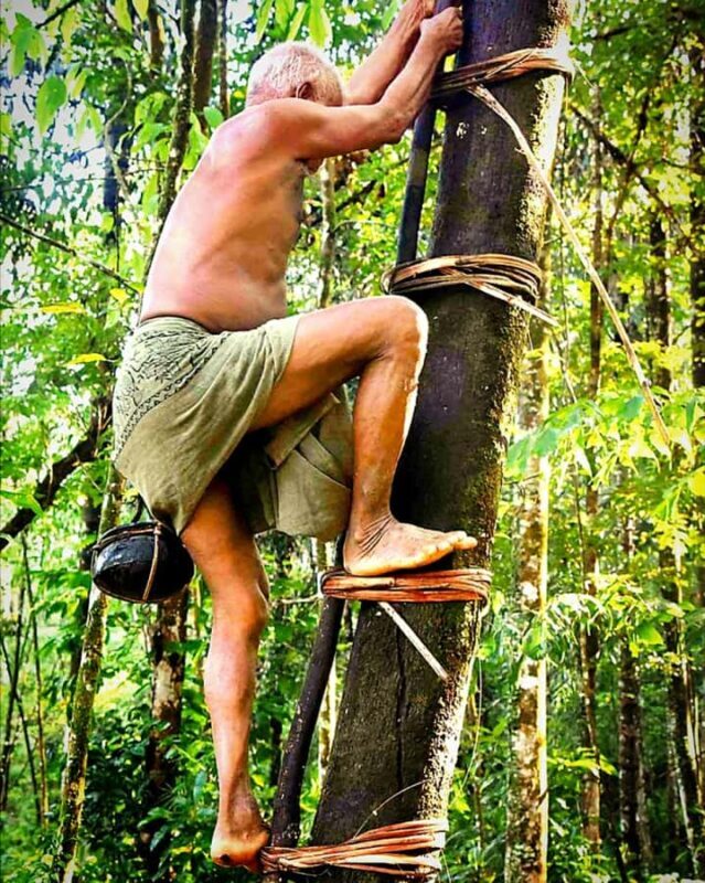 UNESCO Kitul Production Program Tour in a Kandy Village - Good To Know
