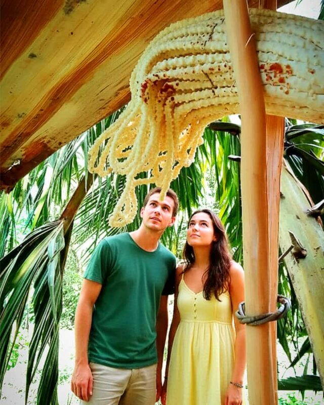 UNESCO Kitul Production Program Tour in a Kandy Village - Practical Tips for Travelers