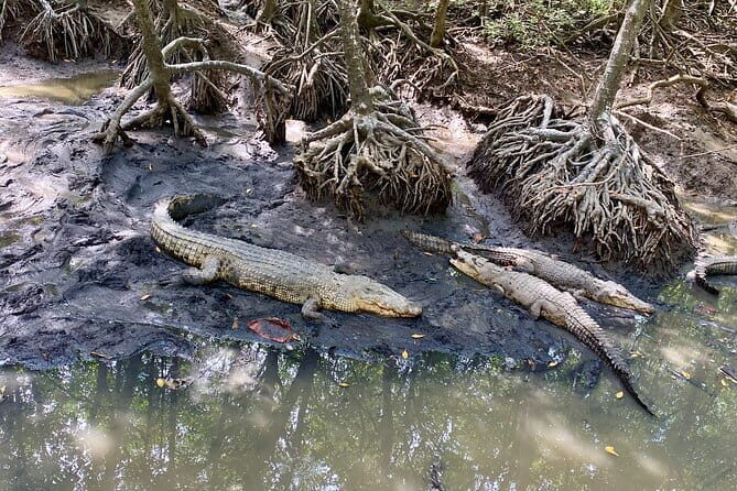 UNESCO Listed Can Gio Mangrove and Monkey Island trek - Frequently Asked Questions