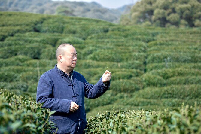 UNESCO Listed Tea Hand Frying and Tasting Workshop in Hangzhou - Who is This Tour Best For?