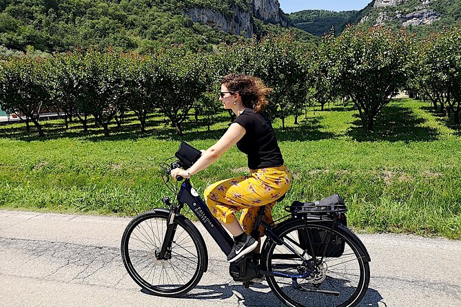 Unesco Palladian Villas in Vicenza: E-Bike Private Tour With Picnic and Aperitif - Booking Information and Availability