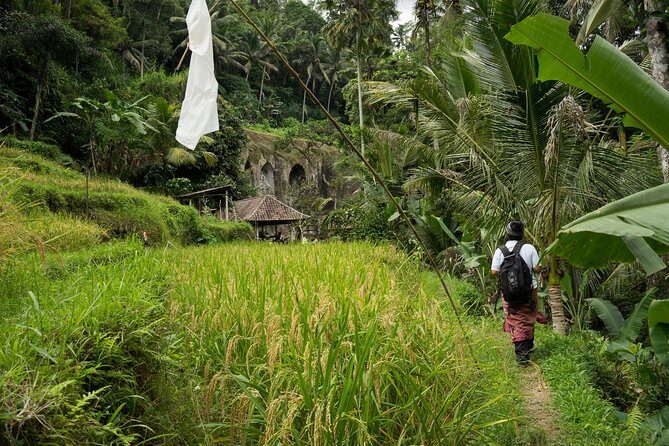 UNESCO Sites Cultural Walking Tour in Bali - A Closer Look at the Itinerary
