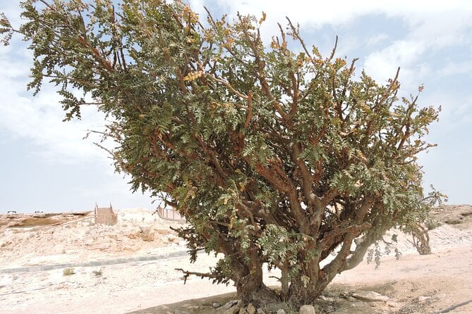 UNESCO World Heritage Sites The Frankincense Trail - Sumhuram Ruins