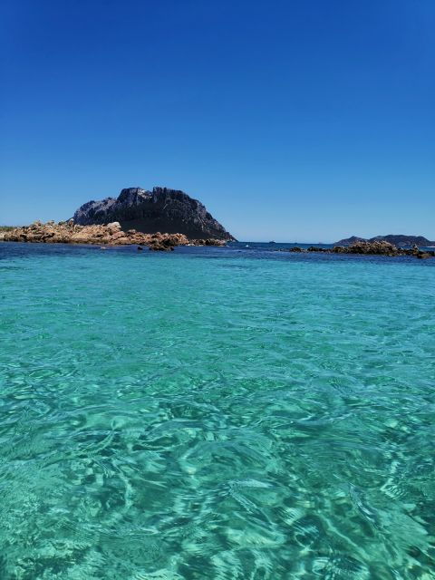 Unforgetable Group Tour of Tavolara and Molara Islands - Tour Highlights