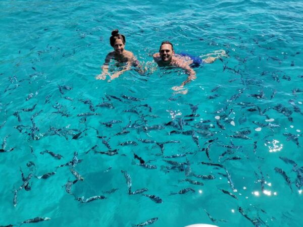Unforgetable Group Tour of Tavolara and Molara Islands - The Sum Up