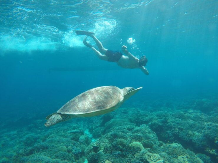 Unforgetable Private Snorkeling Trip - Good To Know