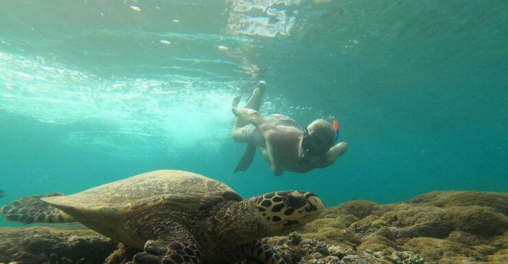 Unforgetable Private Snorkeling Trip - Experience Highlights Overview