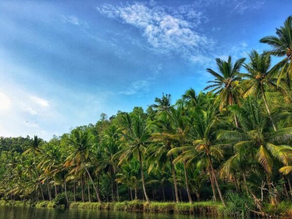 Unforgetable Tour of Java Island - Questions You May Have