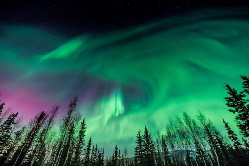 Unforgettable and Fabulous Northern Lights in Reykjavík - Good To Know