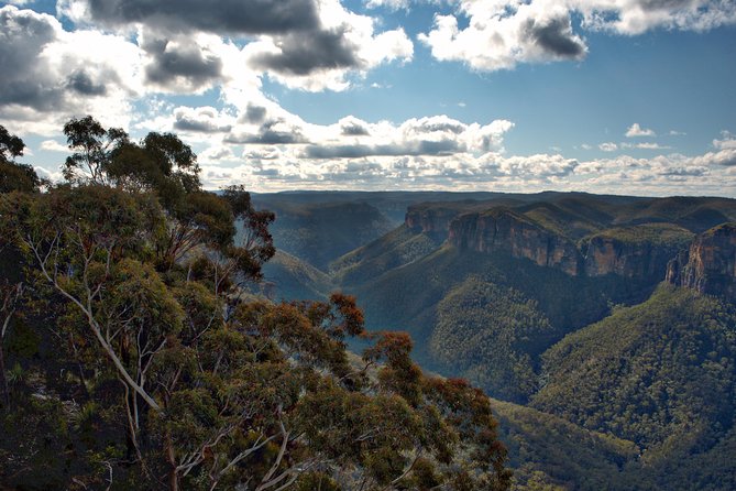 Unforgettable Blue Mountains Day Tour - Personalized Attention From Guide