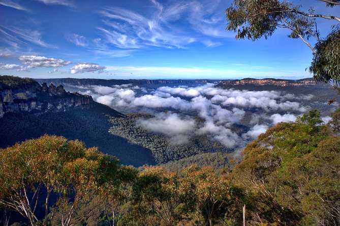 Unforgettable Blue Mountains Day Tour - Common Questions