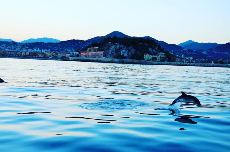 Unforgettable Boat Excursion - Overview of the Private Mini Cruise