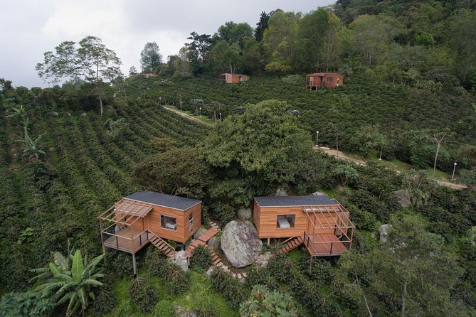 Unforgettable Coffee Adventure at La Palma & El Tucan - Location and Duration