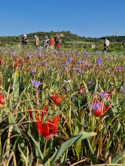 Unforgettable day on safari from Paphos to the Troodos mountains - An In-Depth Look at the Troodos Mountains Safari