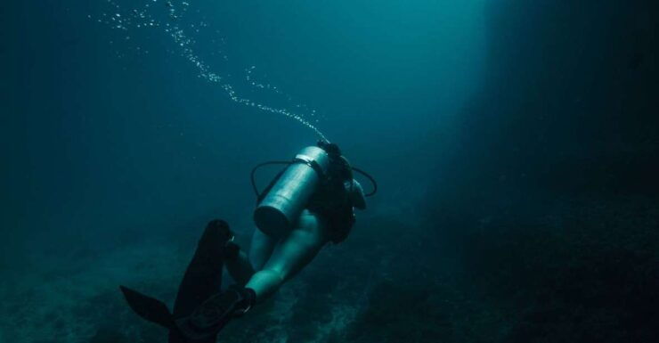 Unforgettable Dive Expedition: Exploring Los Arcos Mismaloy - Swim Alongside Majestic Sea Creatures
