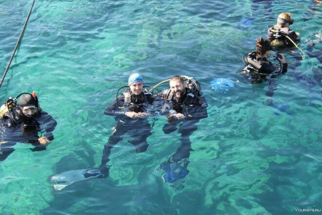 Unforgettable Diving Experience: From Beginners to Advanced - Transportation Details